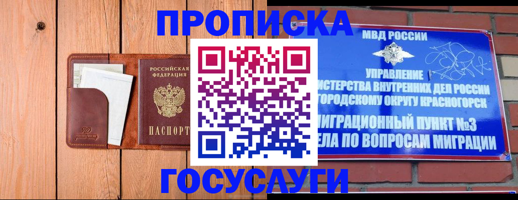 регистрация в Камчатском крае